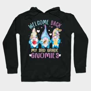 Welcome Back my 3rd grade gnomies..Back to school cute Gift Hoodie